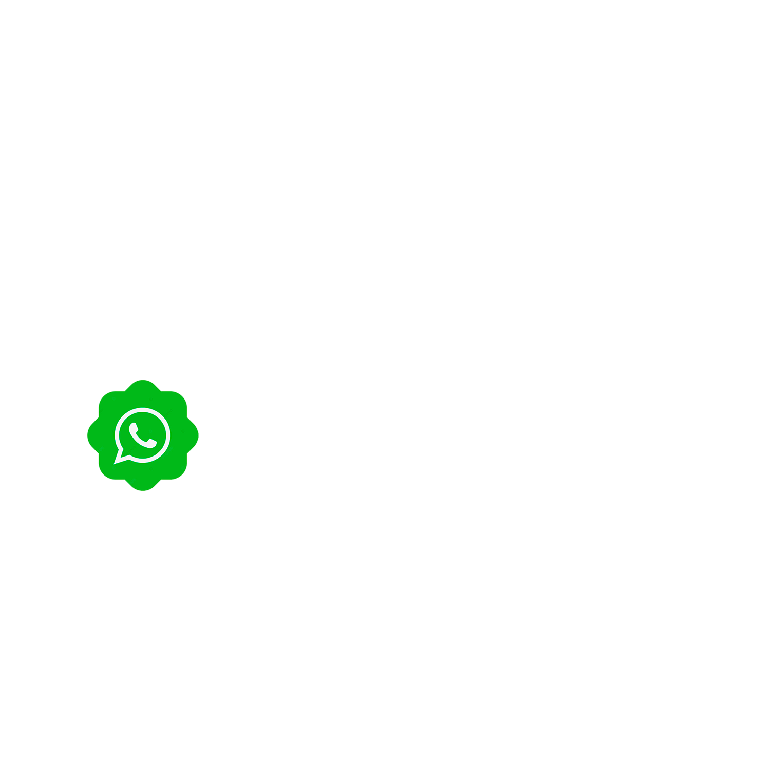Layer